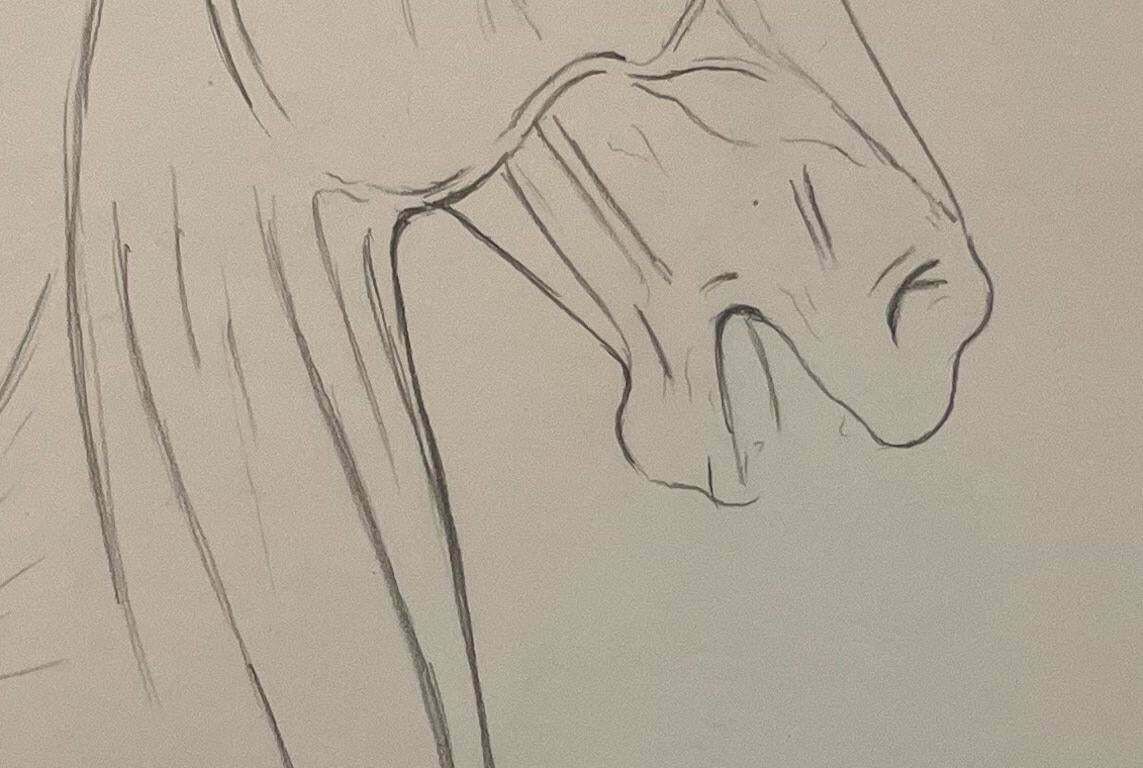 Robert Ladouoriginal French Anatomical Pencil Study Of Horse’s Head And Neck20th Century photo vinterior