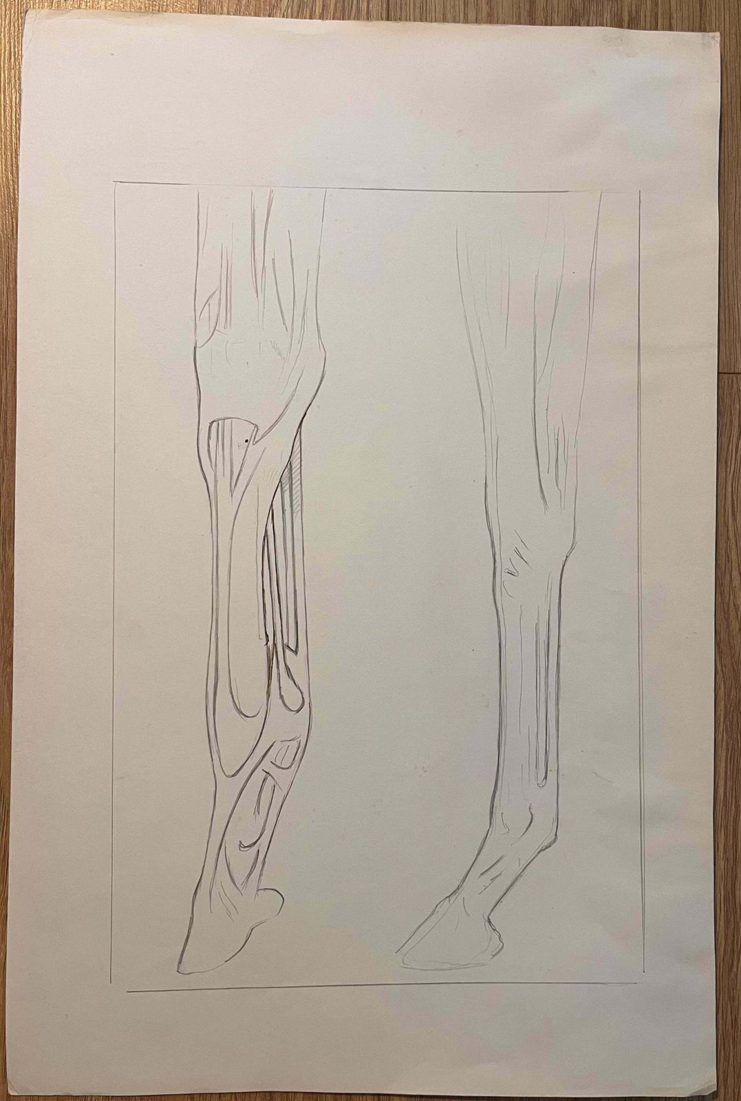 Robert Ladouoriginal French Anatomical Pencil Study Of Horse’s Limb20th Century photo furniture