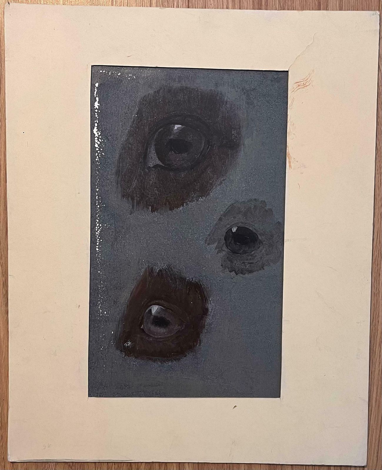 Robert Ladouoriginal French Anatomical Study Of Horse's Eyes20th Century photo furniture