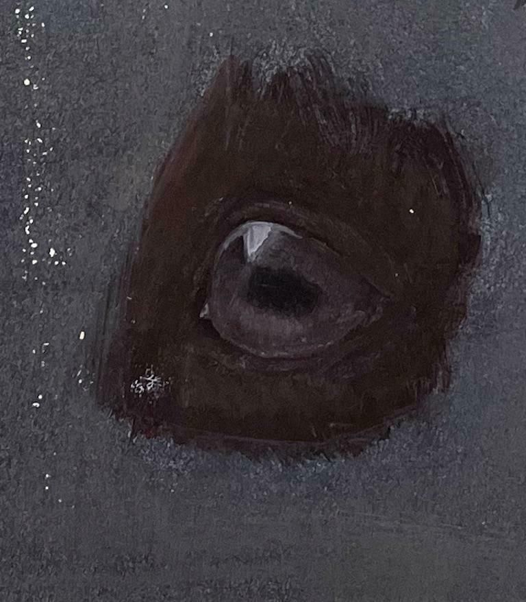 Robert Ladouoriginal French Anatomical Study Of Horse's Eyes20th Century photo Art
