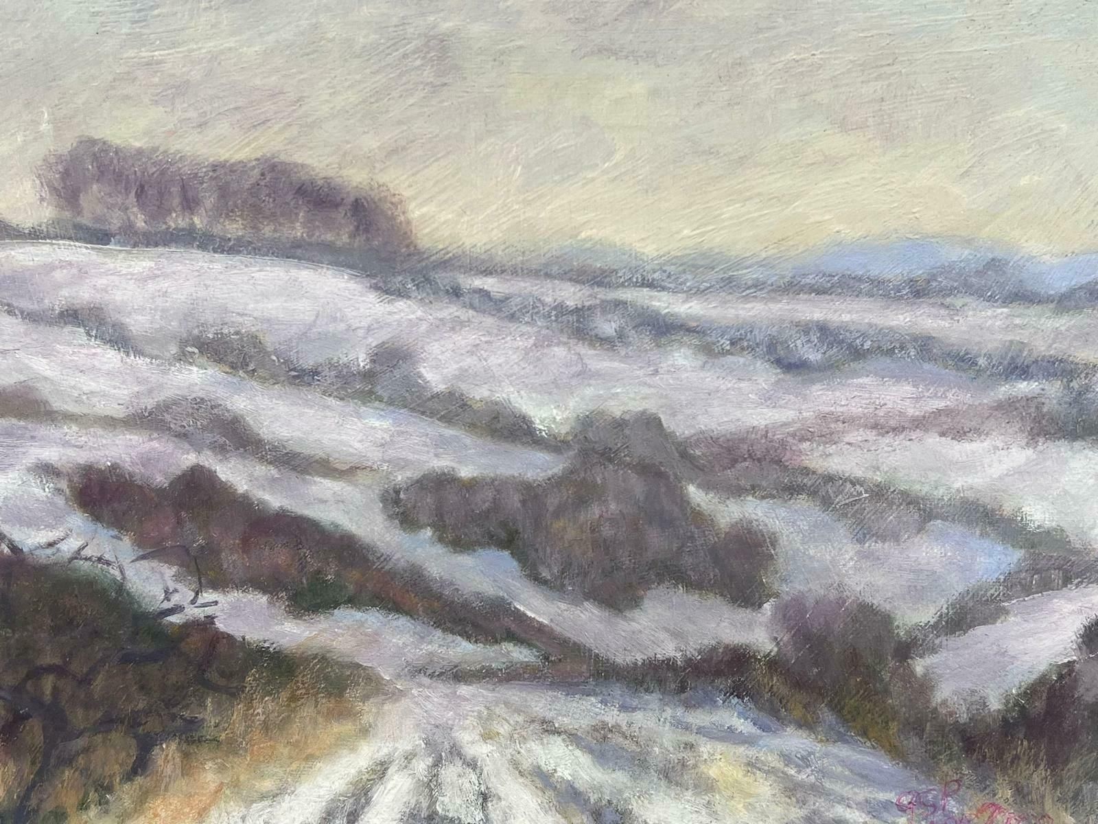 Geza Somerset Paddonpurple Fields Covered In White Snow Contemporary British Modernist Oil Painting photo Art