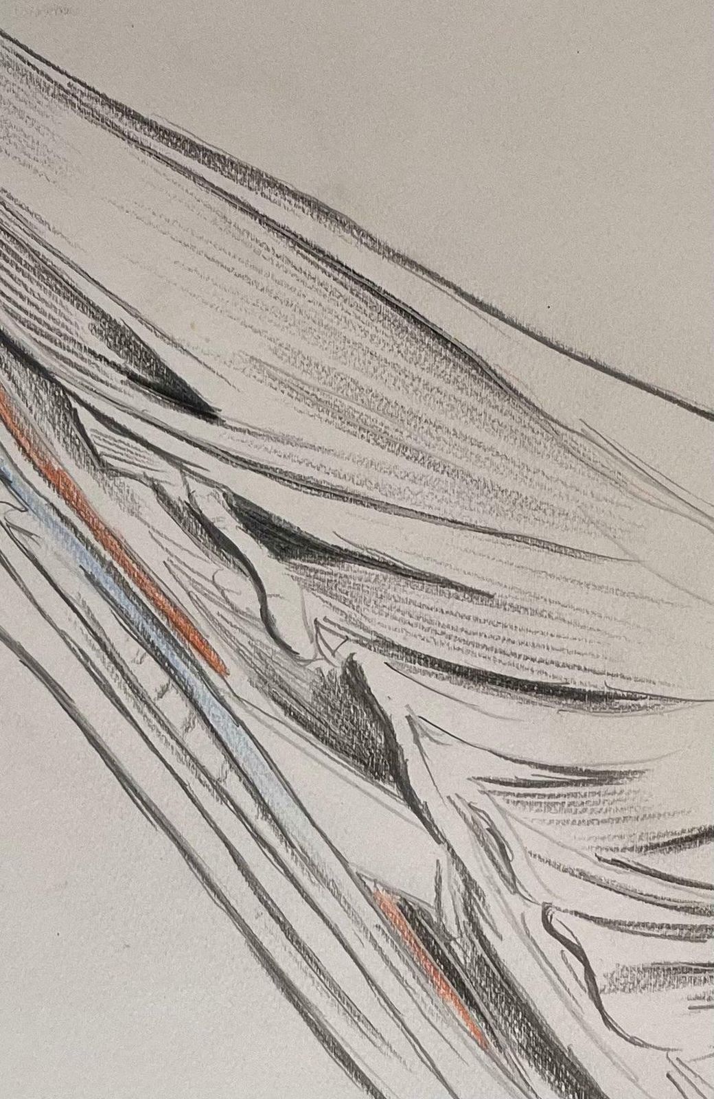 Robert Ladouoriginal French Anatomical Study Of A Horse's Limb20th Century photo 433.0