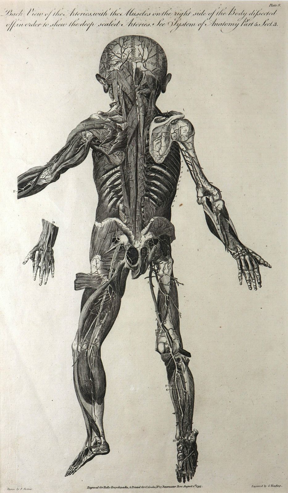 Pair Of Large Engravings From 1789 Edition Of The New Royal Encyclopaedia photo for sale