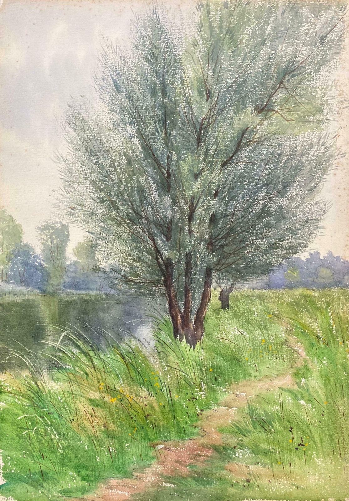 French Impressionistbright French Impressionist Antique Painting   Willow Trees By The River