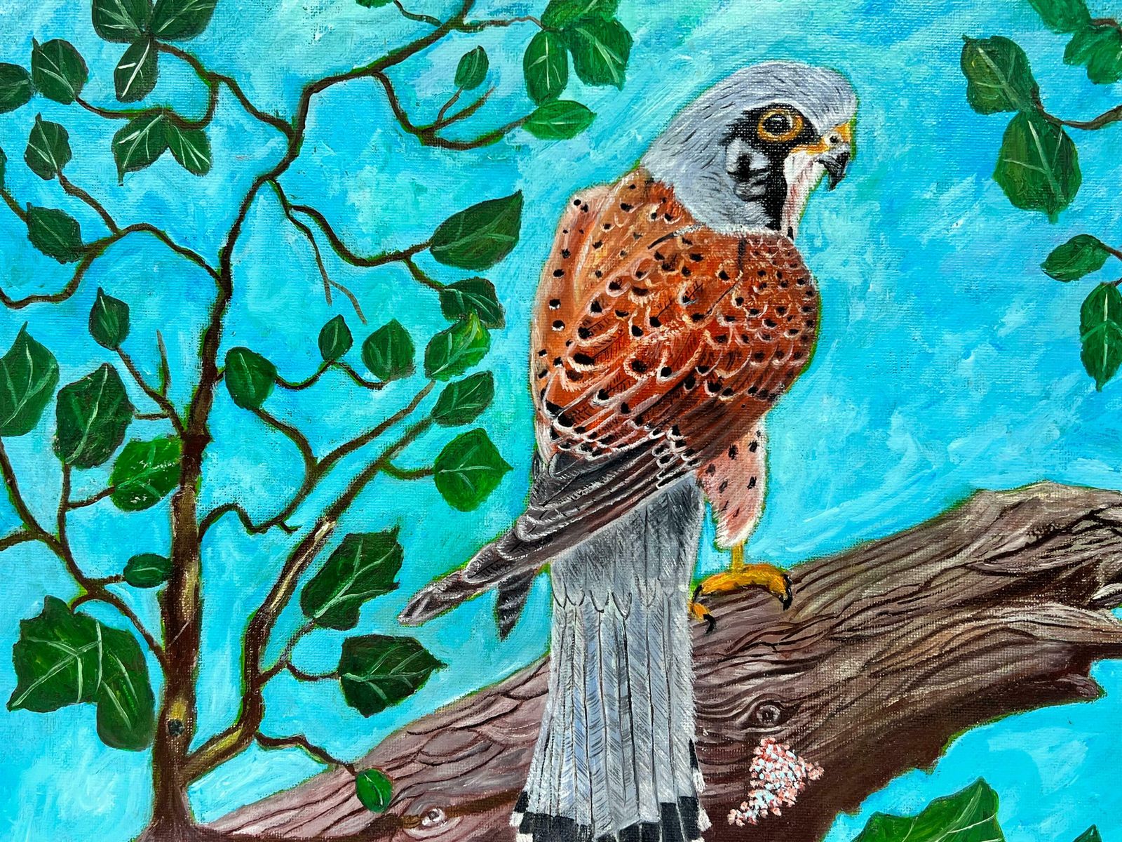 Ben Powellbird Of Prey In Tree Against Blue Sky Contemporary British Painting photo Art