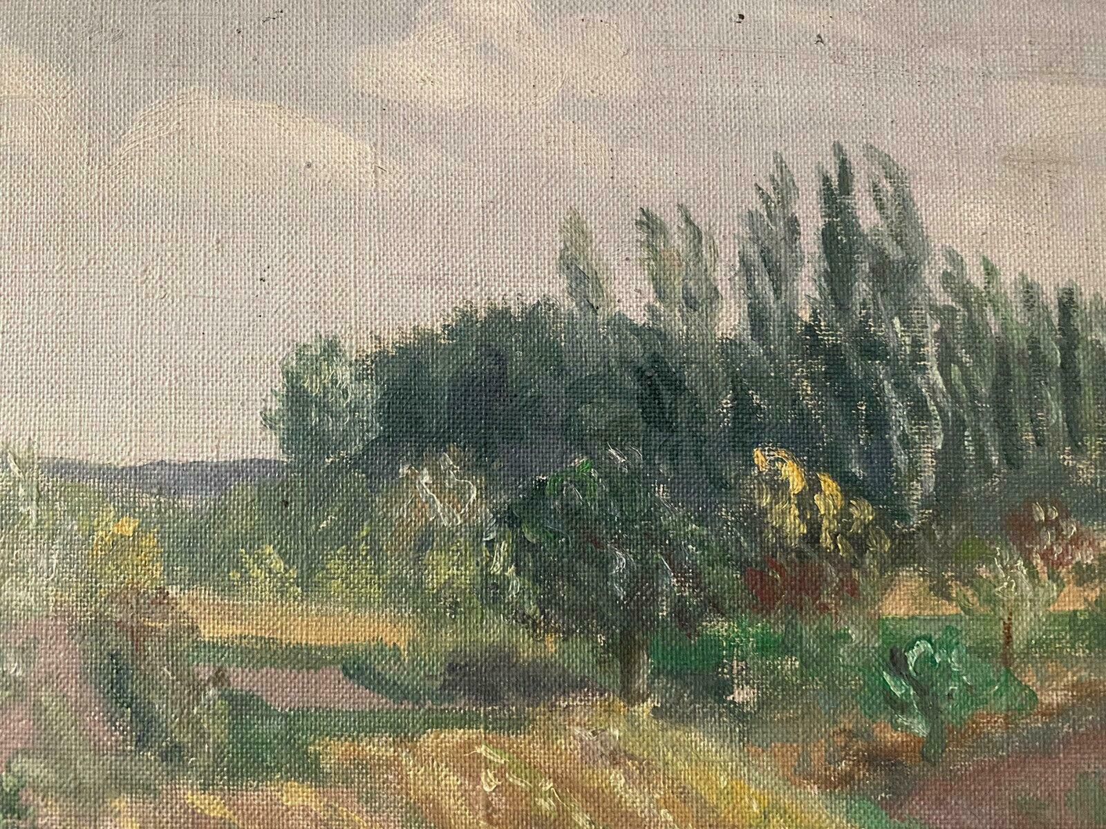 Genevieve Zondervan (1922 2013)genevieve Zondervan (1922 2013) French Oil Painting   Windswept Rural Viewc. 1990's photo for sale
