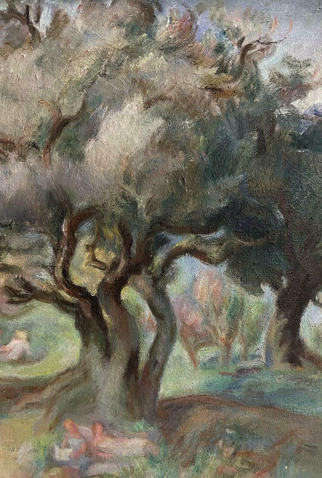 Germaine Bodinolive Groves In Provence, Signed Mid 20th Century French Post Impressionist Oil1950's photo for sale