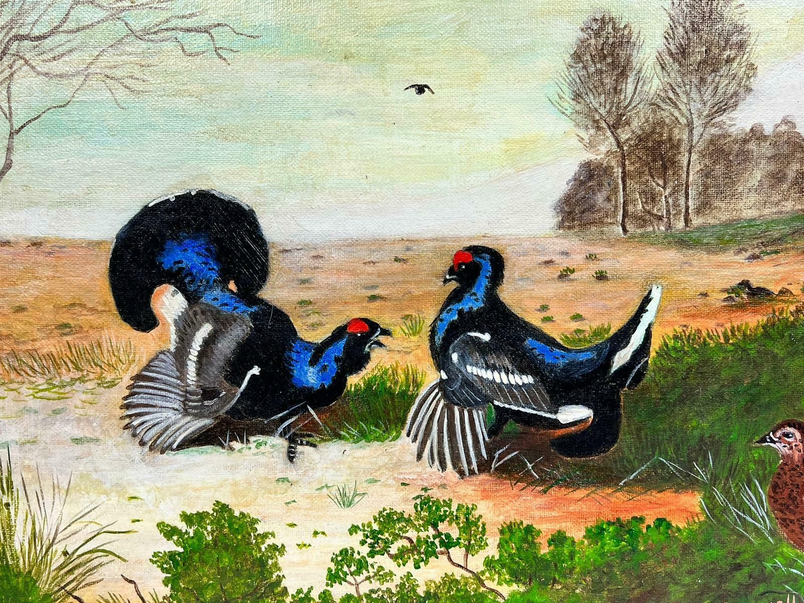 Ben Powellcontemporary British Acrylic Painting Capercaillie/ Grouse In Landscape photo 1537.0