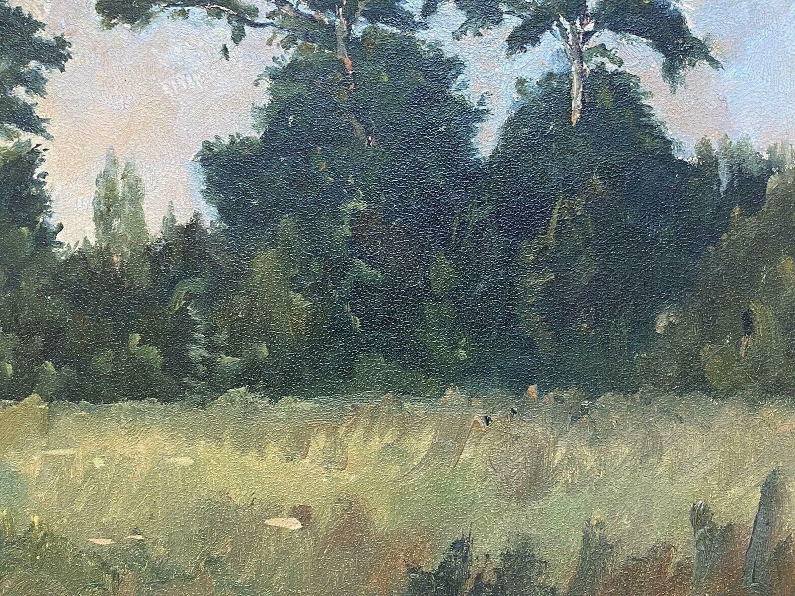 Charles Curtelin (French 1859 1912charles Curtelin (French 1859 1912) En Plein Air Impressionist Oil   Woodlandc. 1890's photo Art