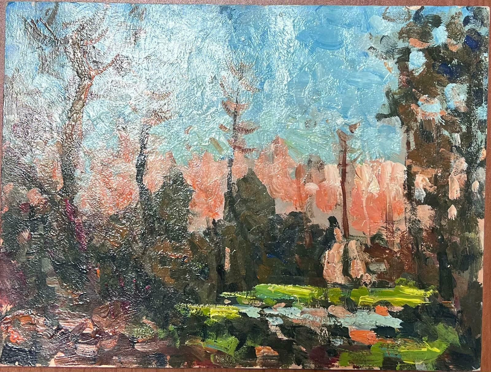 Maurice Mazeiliebright Colour French Impressionist Oil Landscape photo for sale