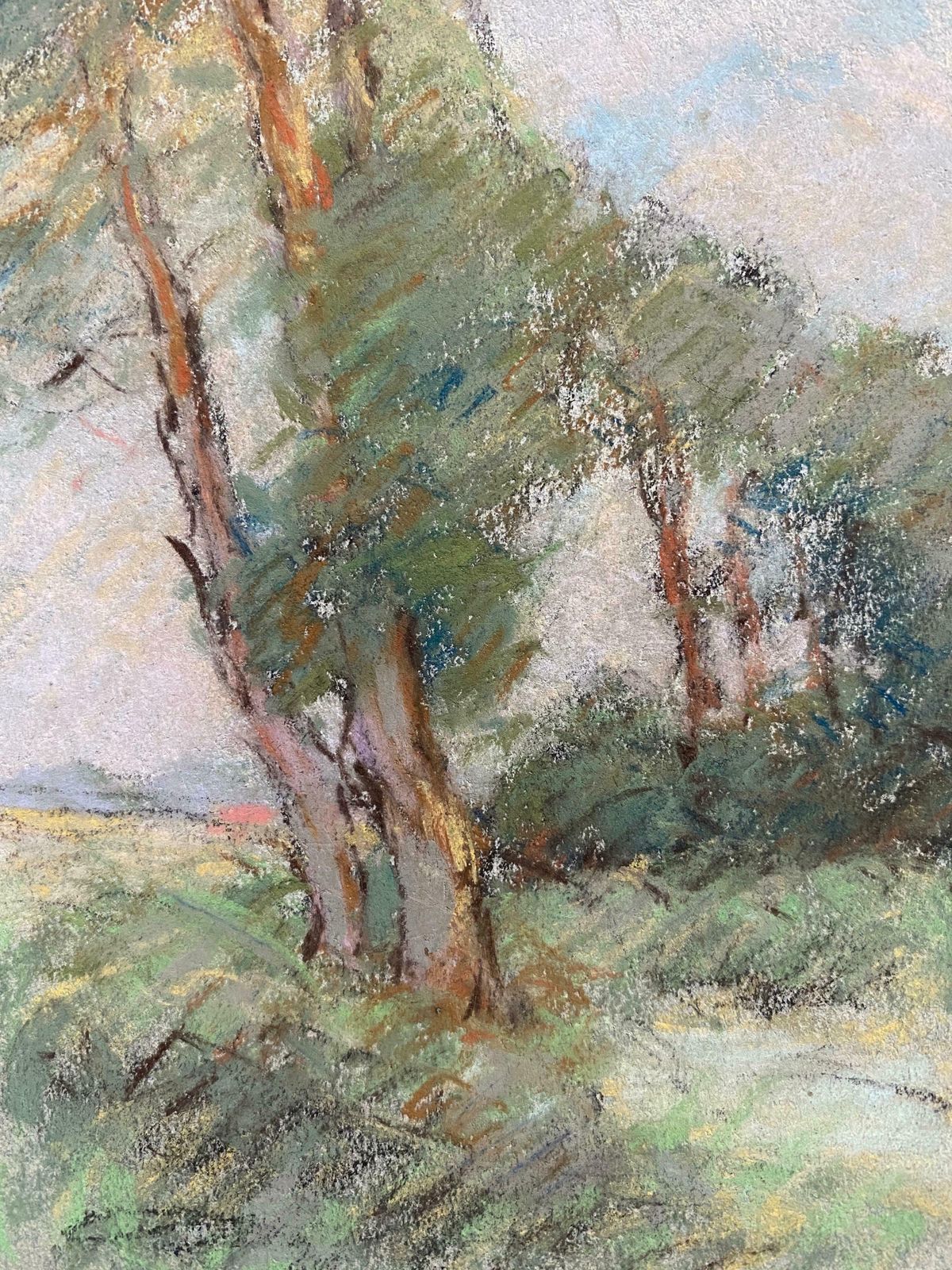 Camille Meriotcamille Meriot French Impressionist Pastel Countryside Wispy Trees In Lanec. 1940's photo Art