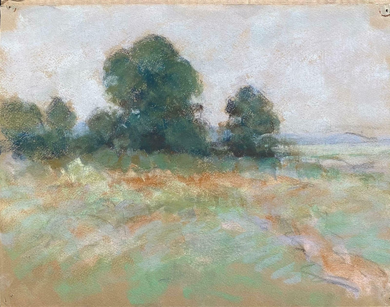 Camille Meriotcamille Meriot French Impressionist Pastel   Green Countryside Fieldsc. 1940's photo furniture