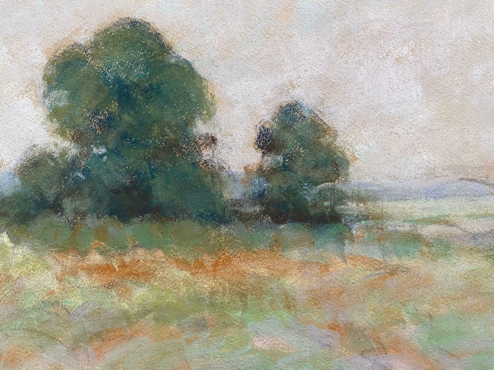 Camille Meriotcamille Meriot French Impressionist Pastel   Green Countryside Fieldsc. 1940's photo buy