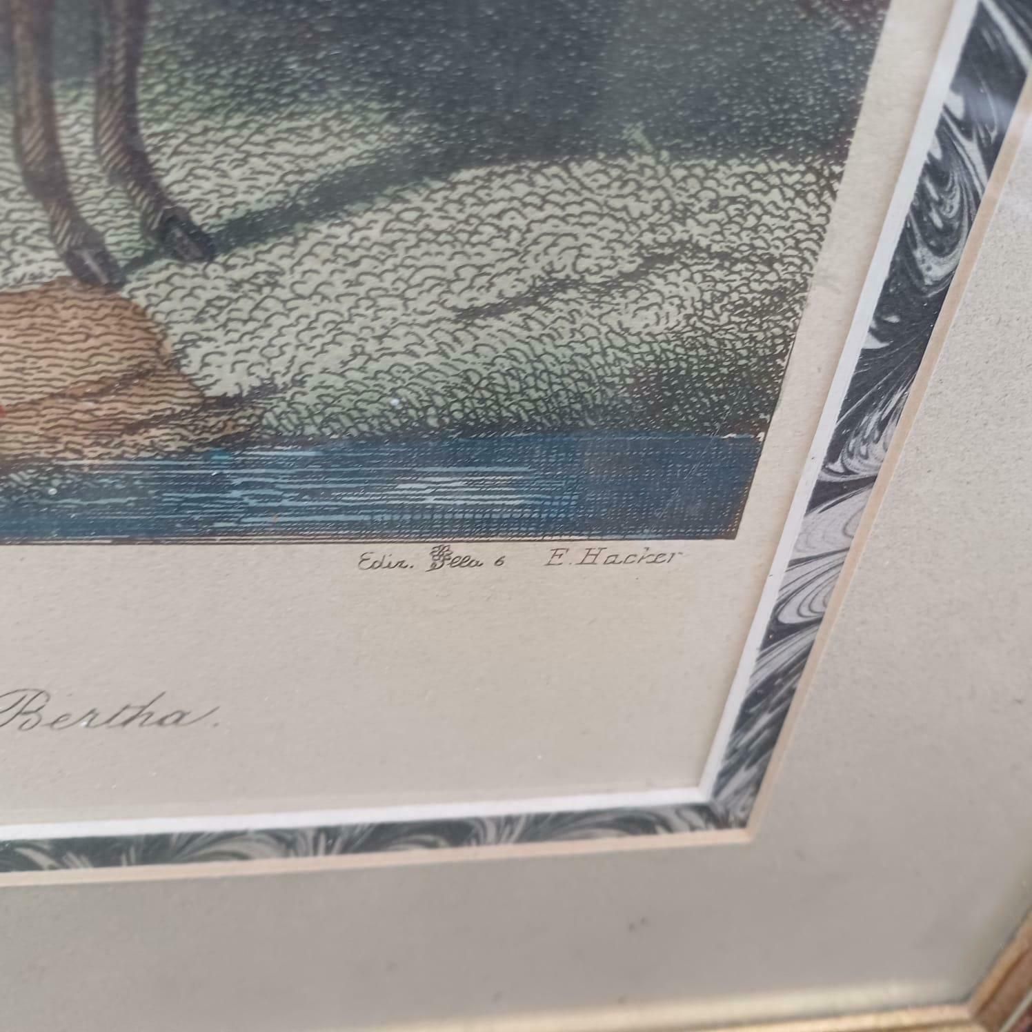 The Princess Race Horse Print By E Corbet, 1862 Lithograph, "The Dam Of Nutbourne, Neighbour And Bertha", Early 1900s Framed Print photo furniture