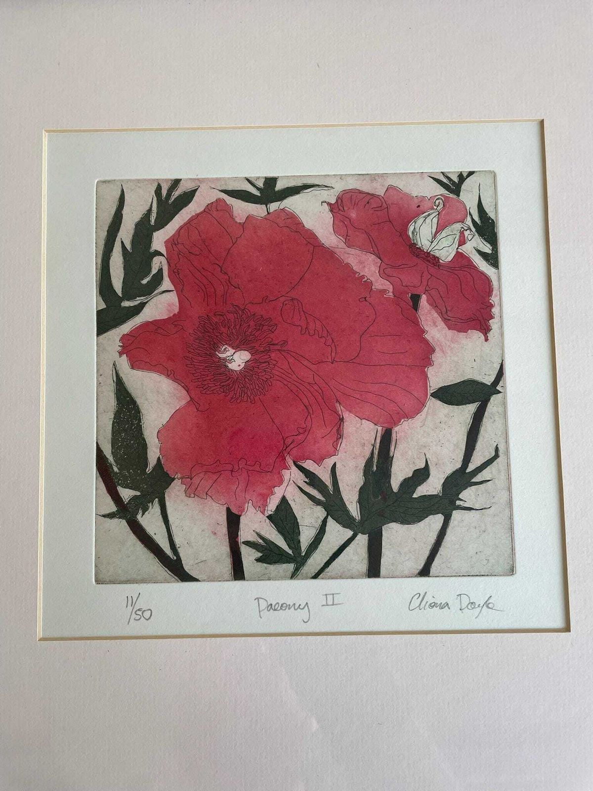 Cliona Doyle Framed Art Etching Print Of Paeony 2 Red Green Floral Thin Green Frame photo for sale