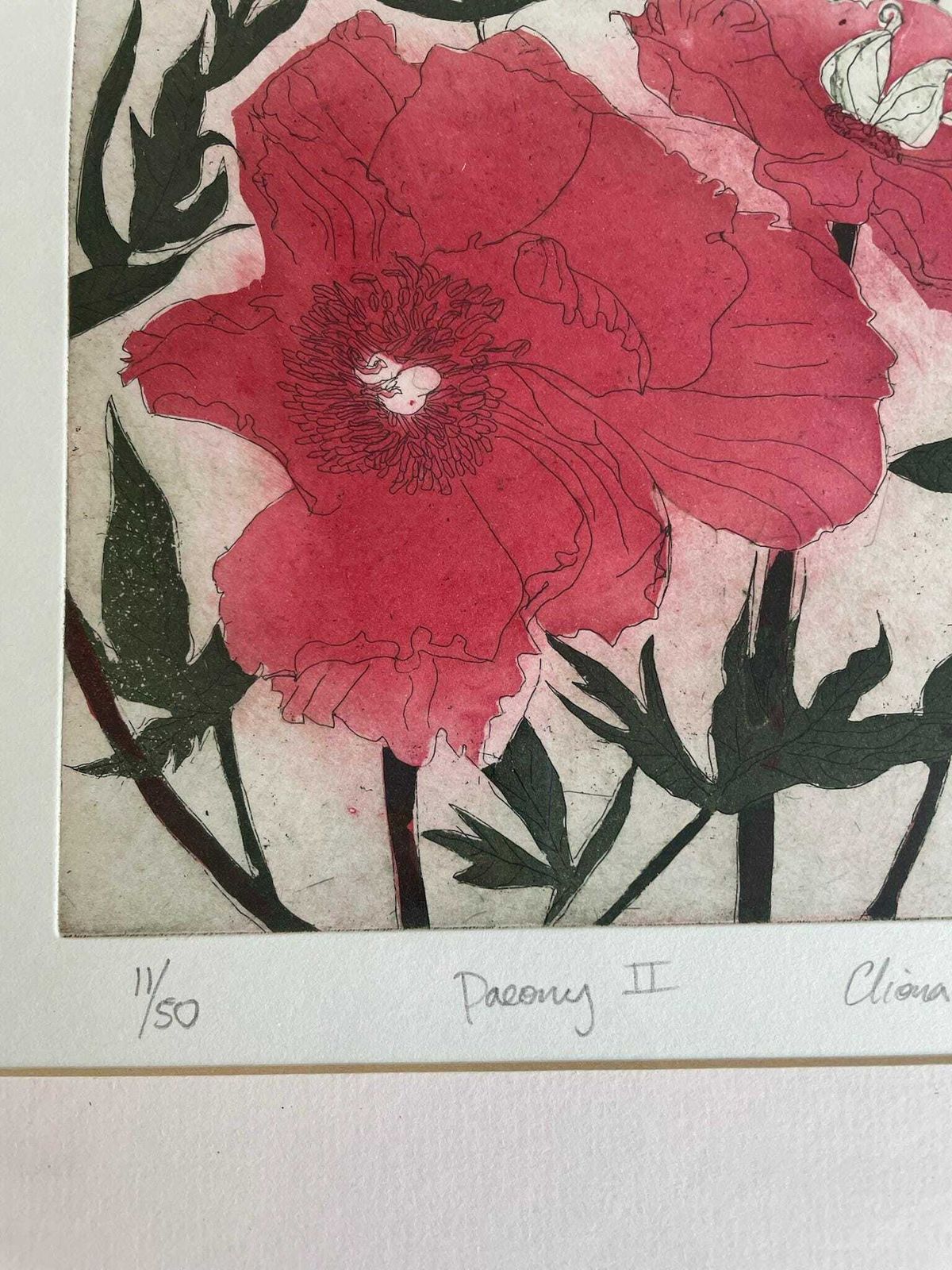 Cliona Doyle Framed Art Etching Print Of Paeony 2 Red Green Floral Thin Green Frame photo 185.0