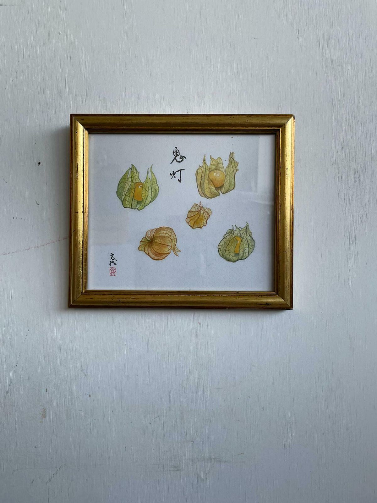 Beautiful Small Watercolour And Ink Painting Of Physalis Or Chinese Lanterns Art Piece In Gold Frame photo for sale