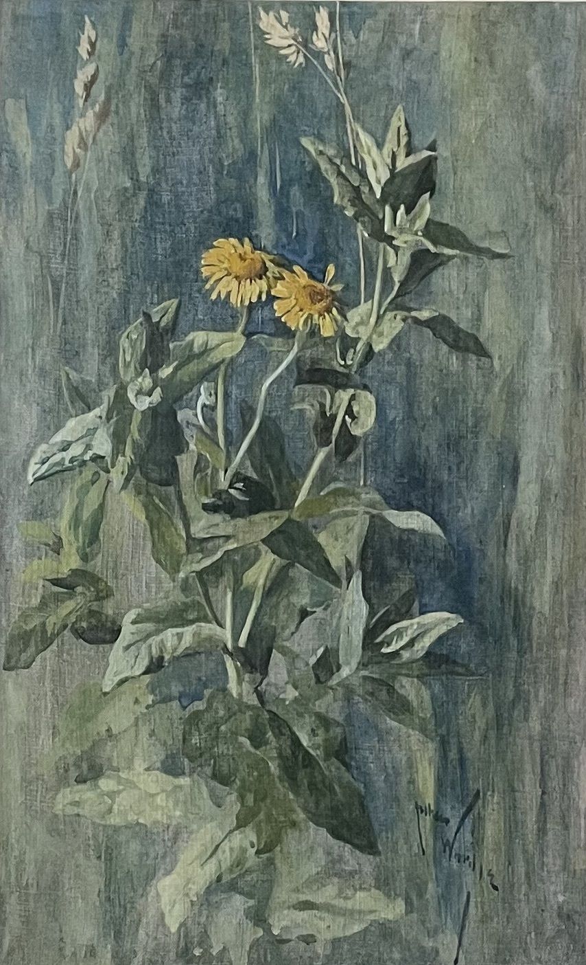 Arthur Wardle   Common Fleabane   Early 20th Century British Botanical Watercolour photo furniture