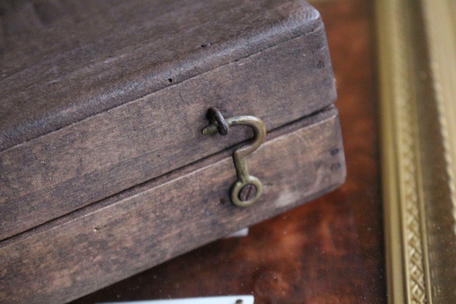 Home Decor 19th Century Glazed Specimen Box Containing Wheat Agricultural Scientific Curio photo