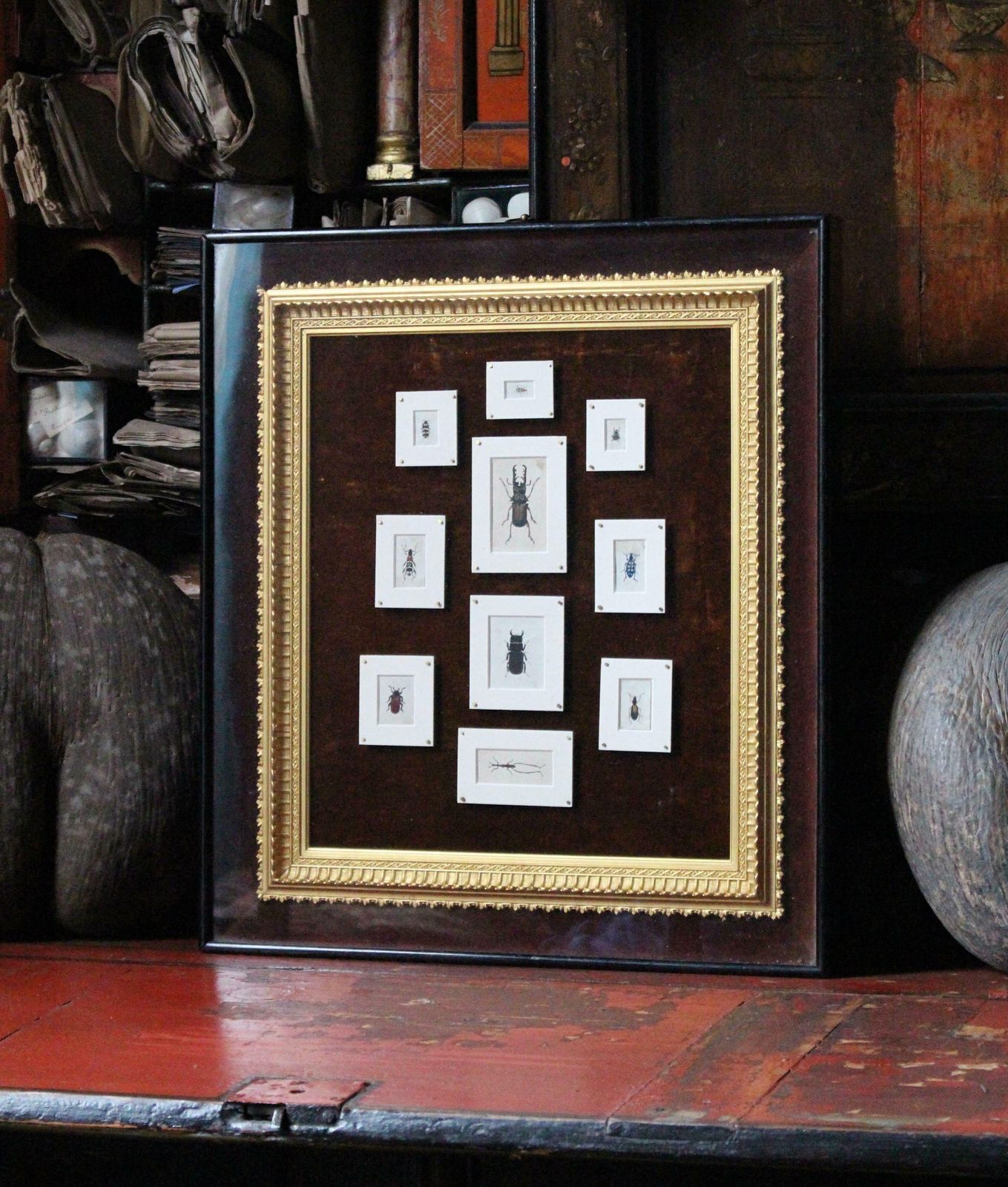 19th C Hand Painted Entomology Studies Gothic Revival Shadow Box Taxidermy Curio photo for sale