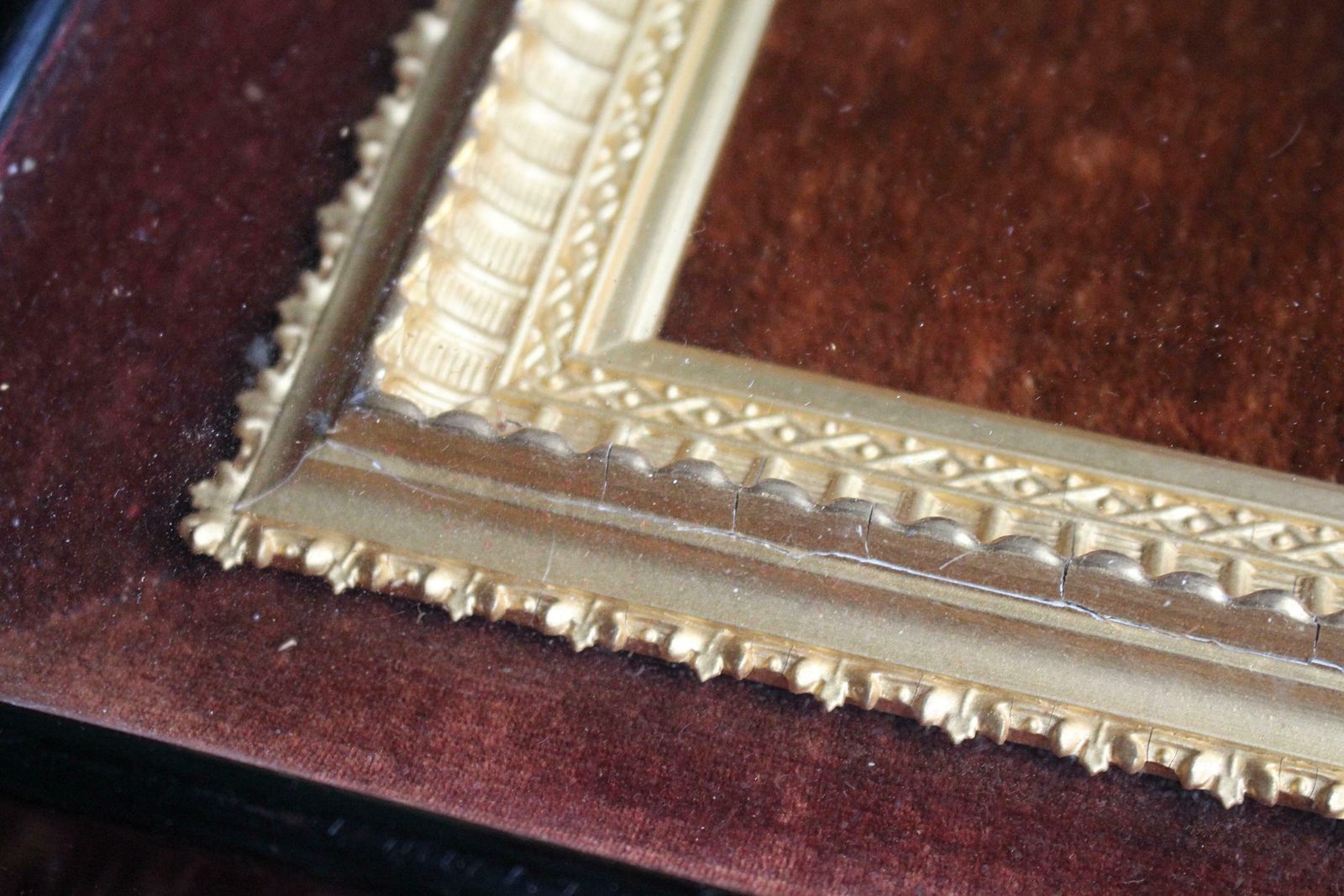 Art 19th C Hand Painted Entomology Studies Gothic Revival Shadow Box Taxidermy Curio photo