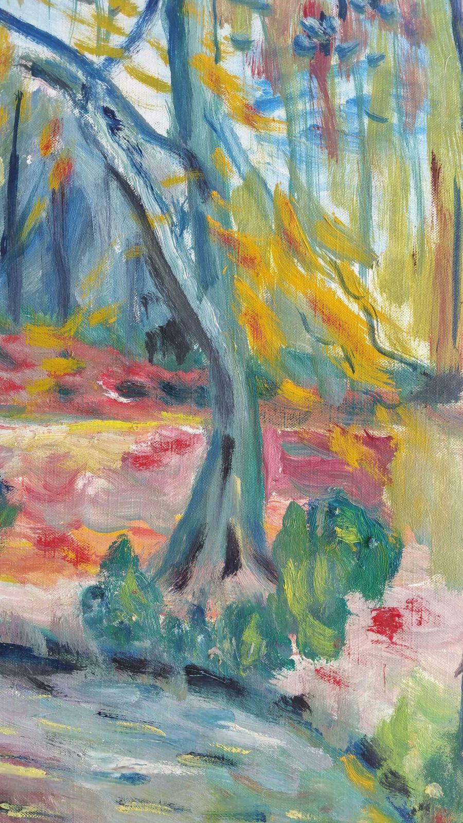 Unknown20th Century French Oil Painting Provence Woodlandlate 20th Century photo 512.0