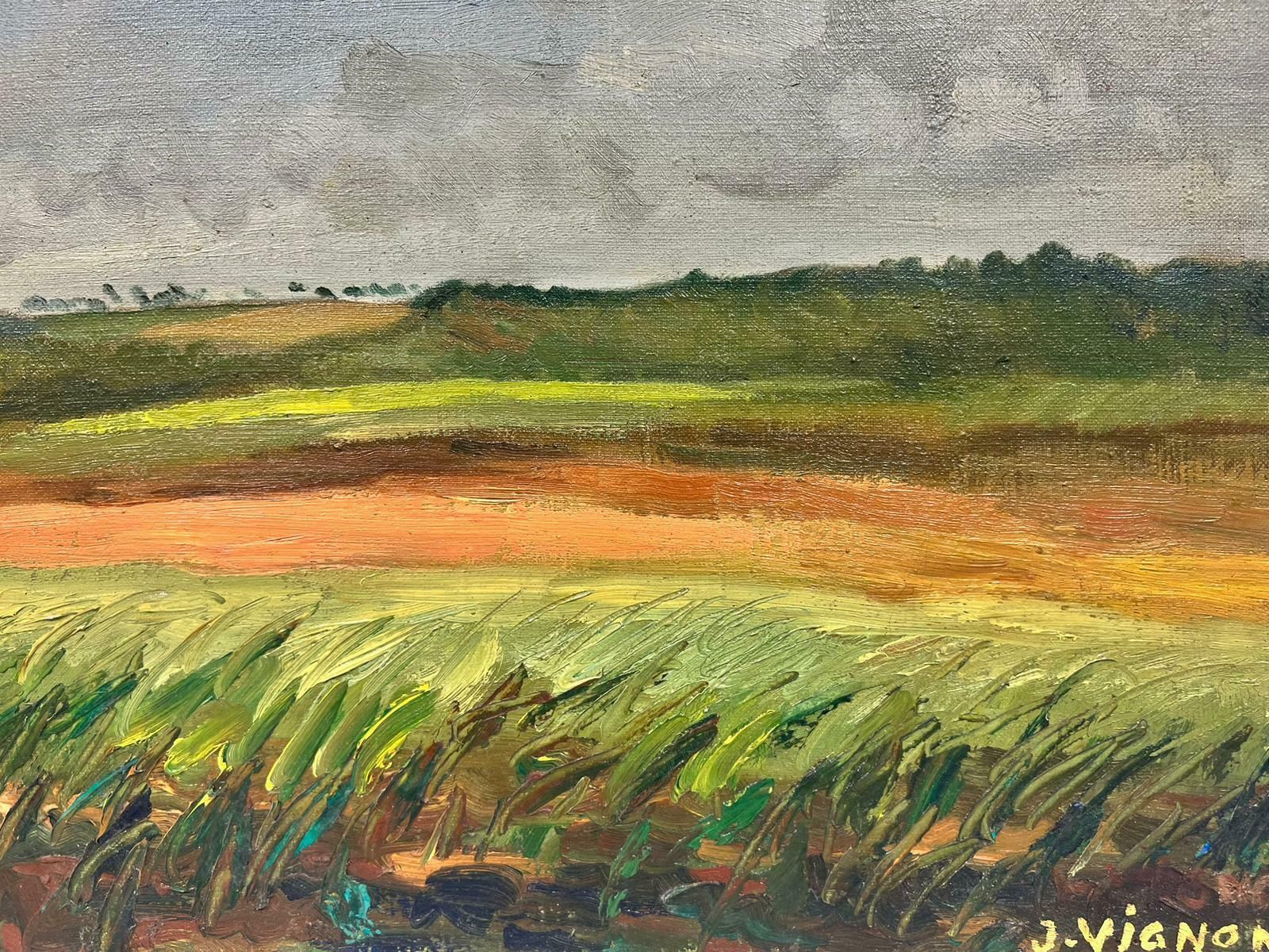 Josine Vignonfrench Open Field Landscape Post Impressionist Signed Oil 1960's photo Art