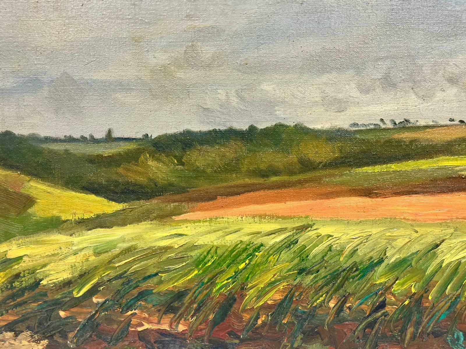 Josine Vignonfrench Open Field Landscape Post Impressionist Signed Oil 1960's photo 859.0