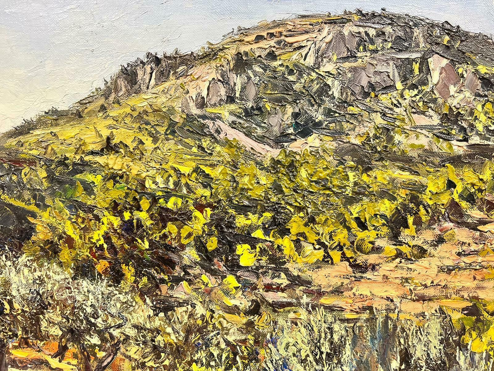 Josine Vignonolive Groves In Provence Original French Post Impressionist Signed Oil 1960's1960's photo Art