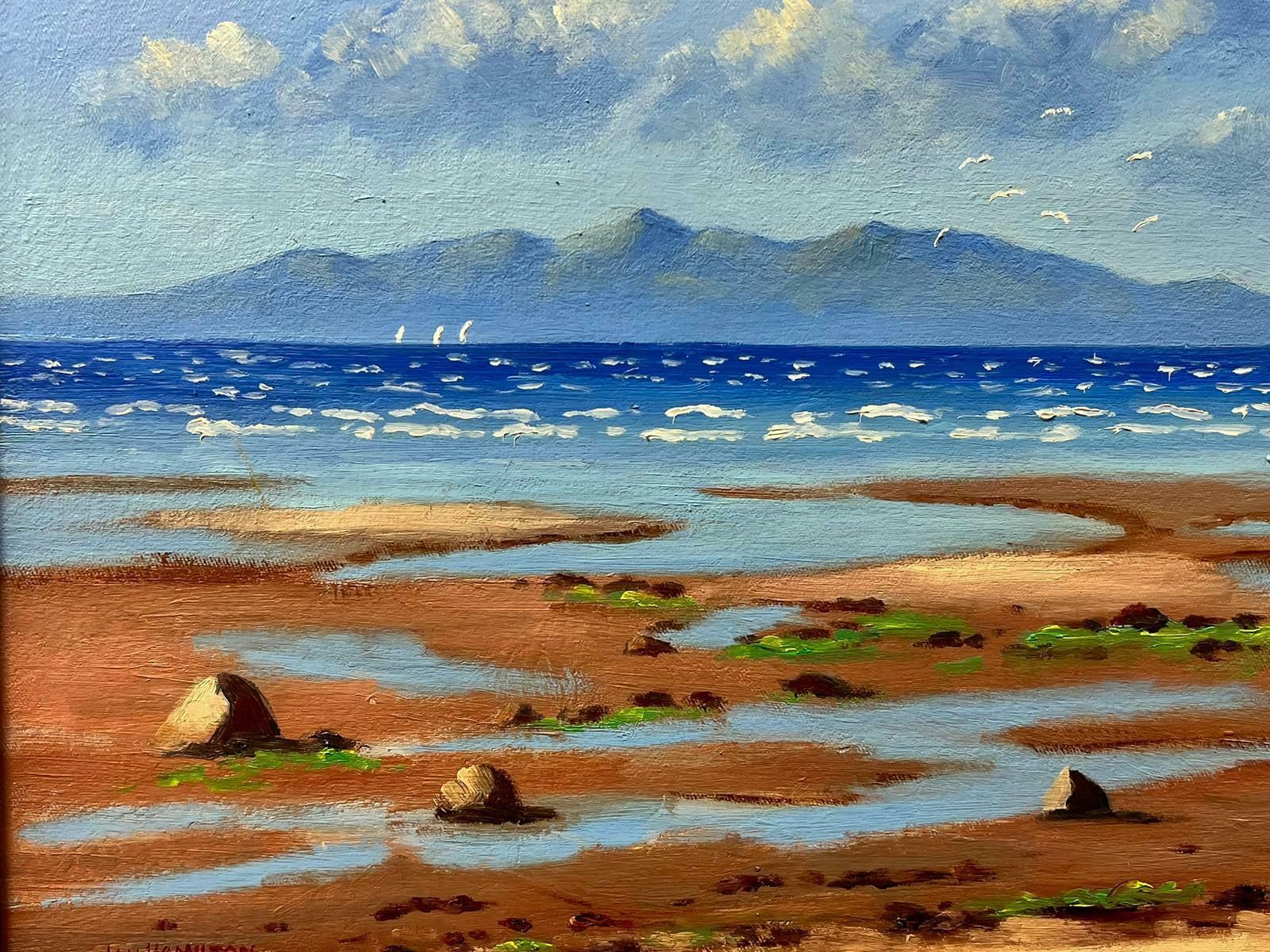 Ian Hamiltonthe Outer Hebrides Superb Scottish Oil Painting, Beach & Coastal Seascape