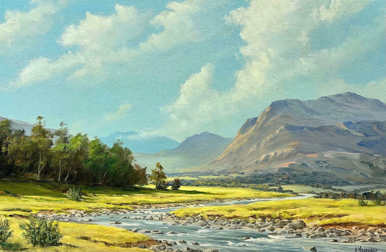 Mcdonaldsigned Scottish Oil Sunny Highland River Landscape In Summer, Framed Original photo furniture
