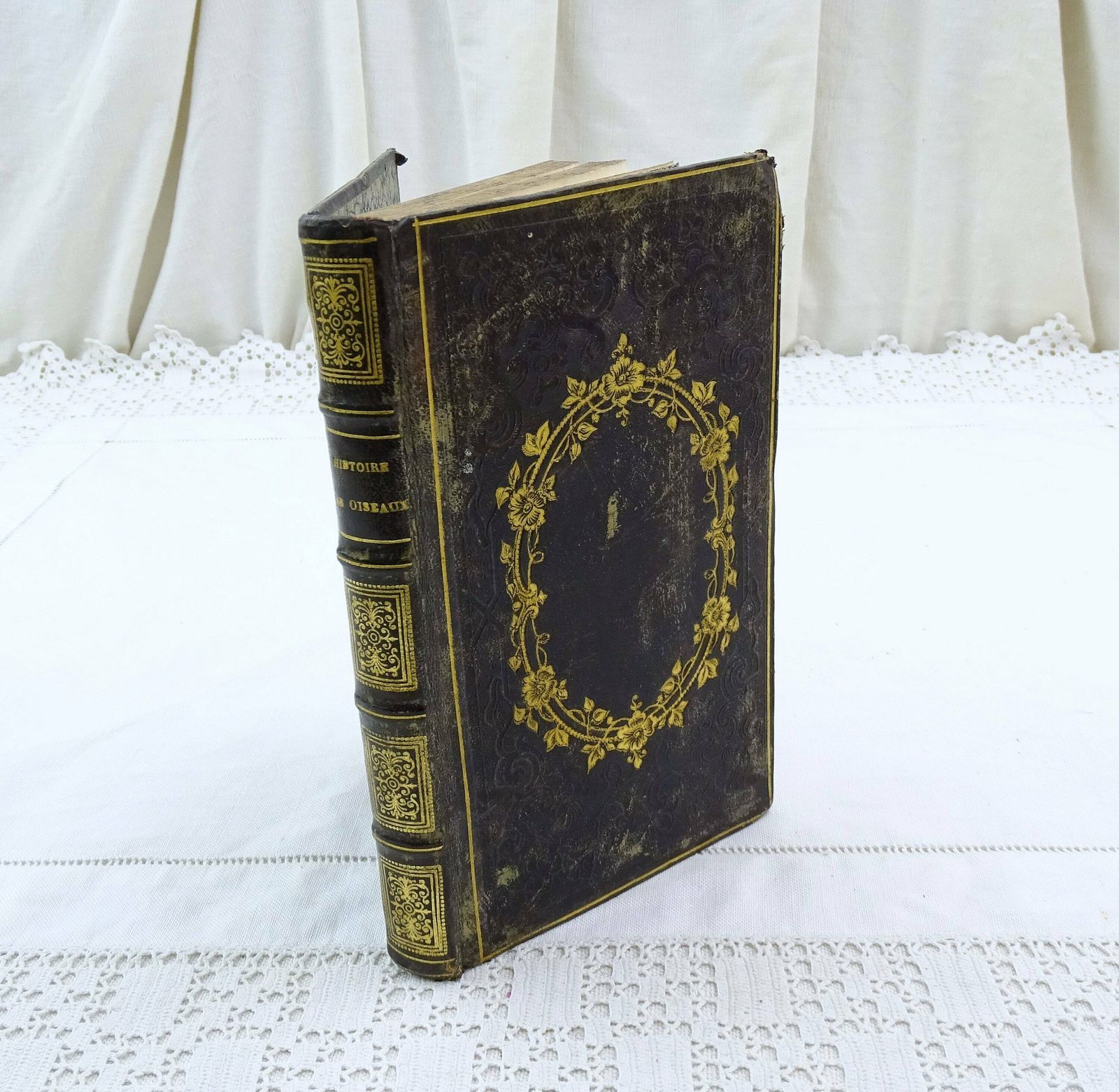 Antiek Frans Leren Boek Uit 1861 Met Vergulde Decoratie – Natuurlijke Historie Van Vogels, Reptielen En Vissen – Histoire Naturelle Des Oiseaux Des Reptiles Et Des Poissons Door M L'abbé J J Bourassé