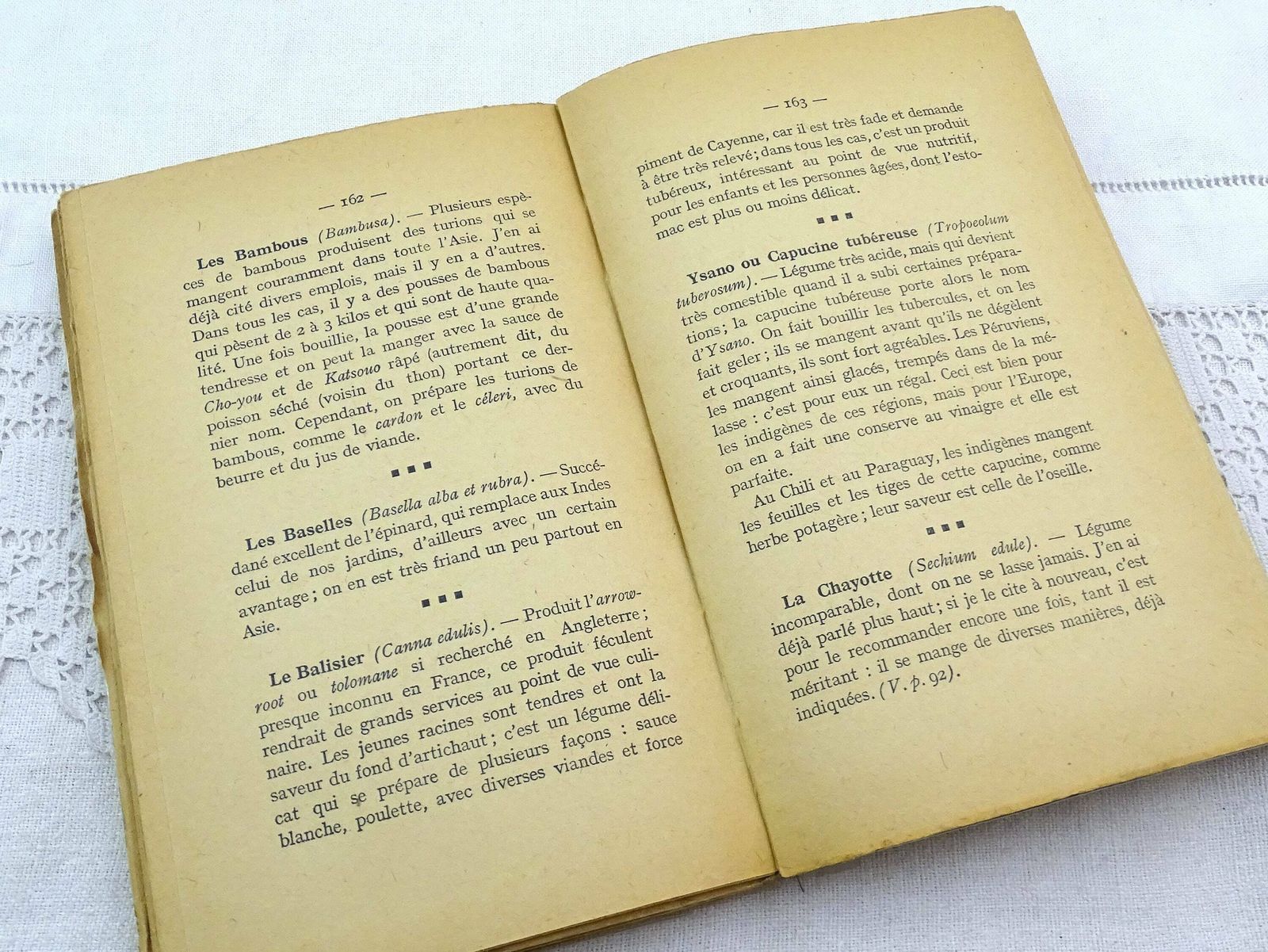 Antique French Cookbook Of 400 Exotic Recipes From Former Colonies La Bonne Cuisine Aux Colonies Printed 1931 Written In French, Cook Book photo vinterior