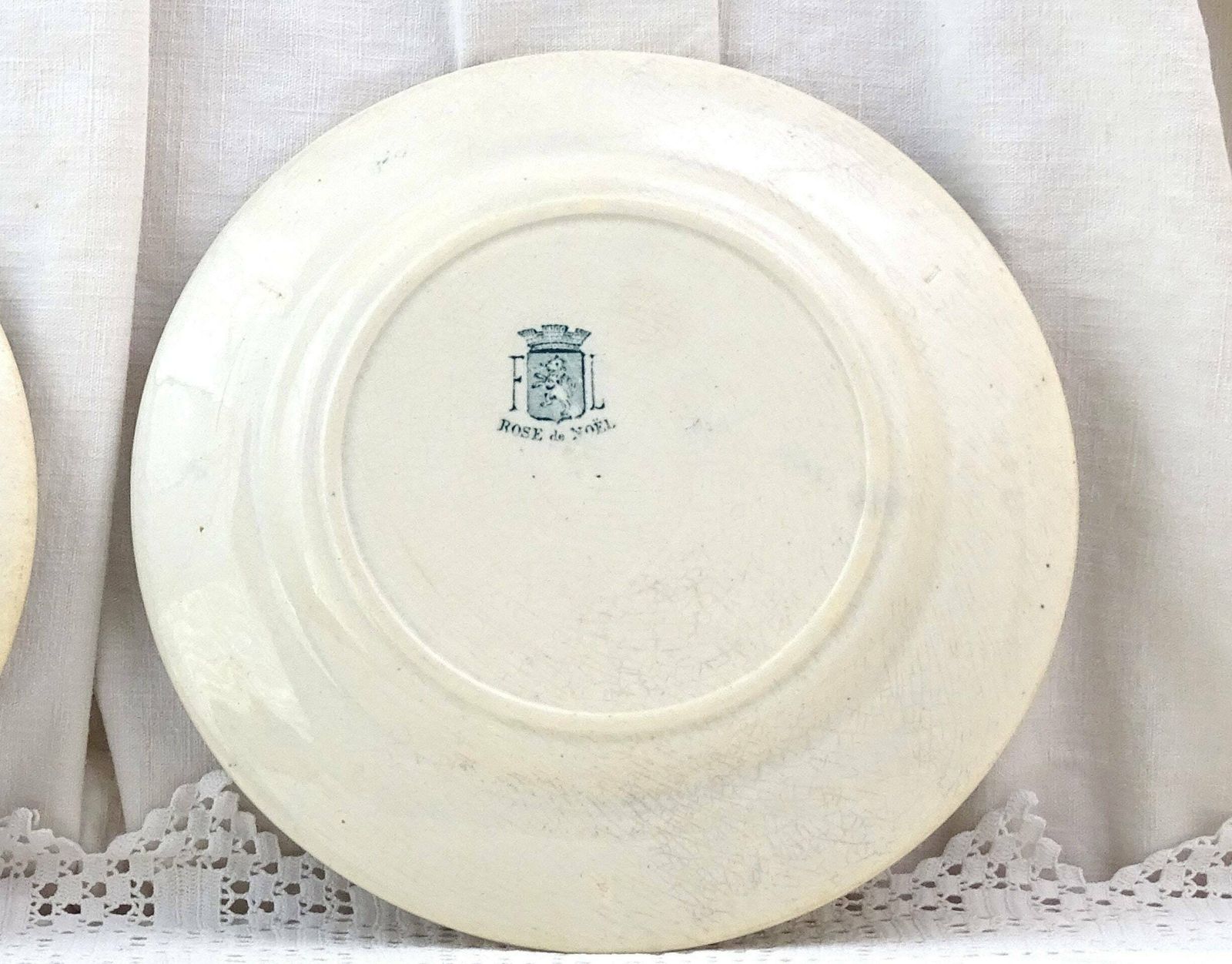 2 Antique French Ironware Style Plates With Large Teal Blue Flower Pattern By Fl From The Range Rose De Noel, Vintage Ironstone Wall Plate photo Home Decor