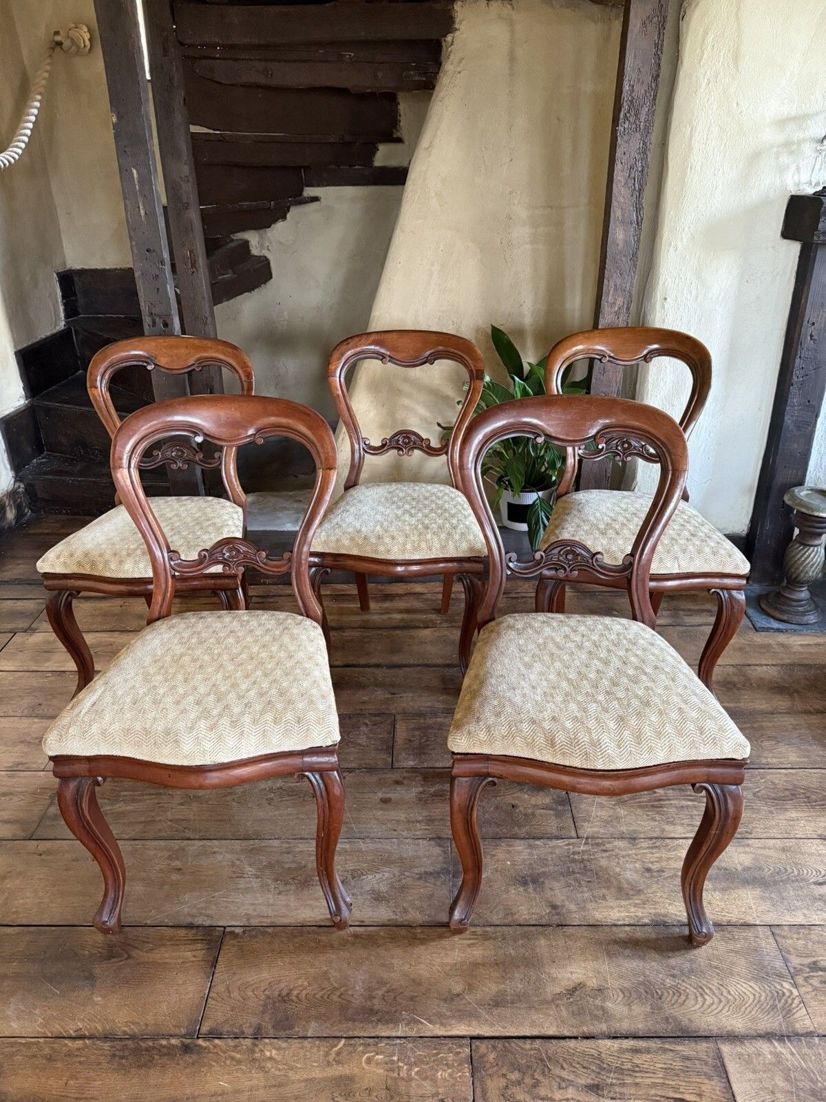 Antique Mahogany Victorian Drop In Balloon Back Diner Dining Chairs C1800's  X 5 photo furniture