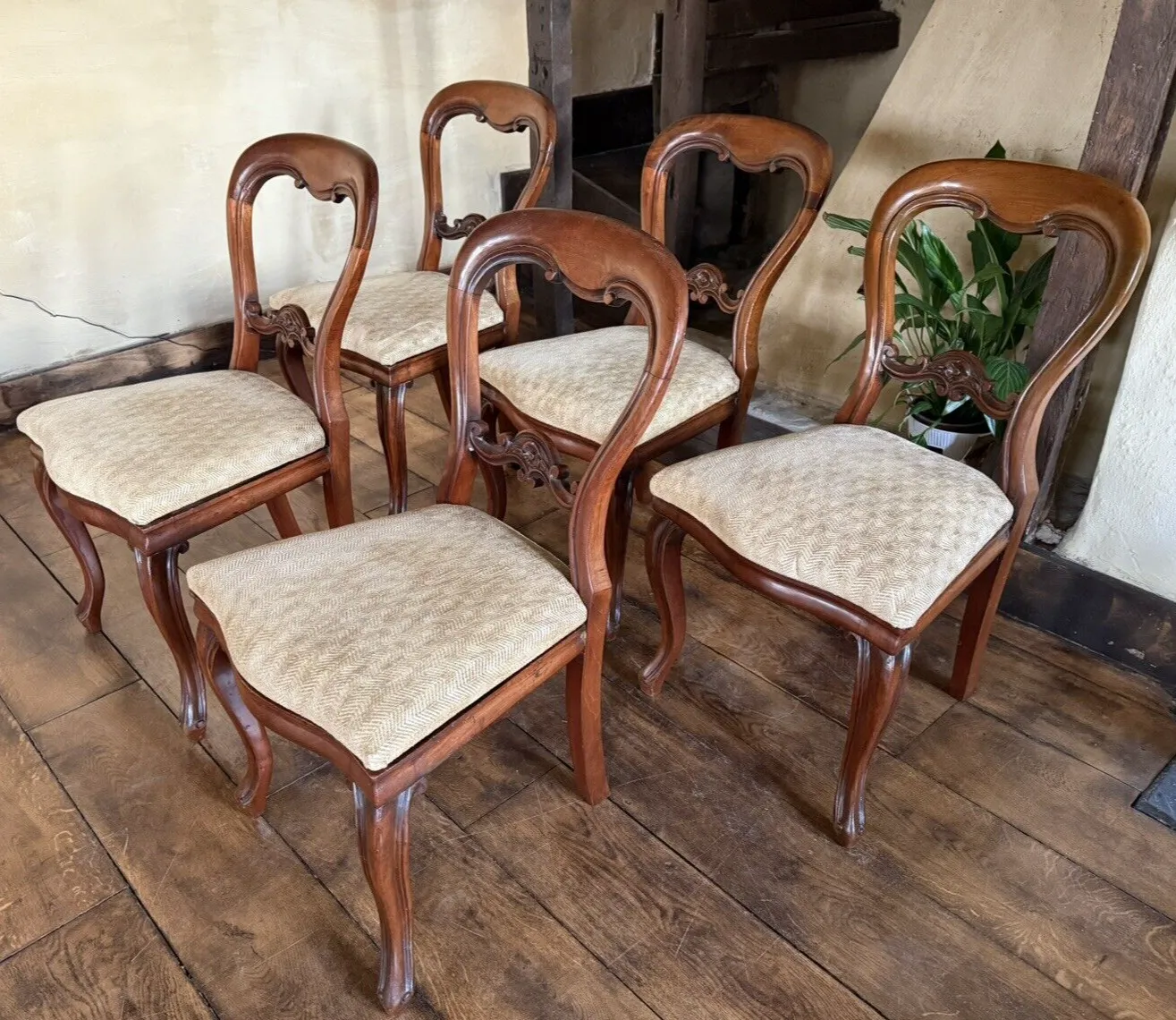 Antique Mahogany Victorian Drop In Balloon Back Diner Dining Chairs C1800's  X 5 photo for sale