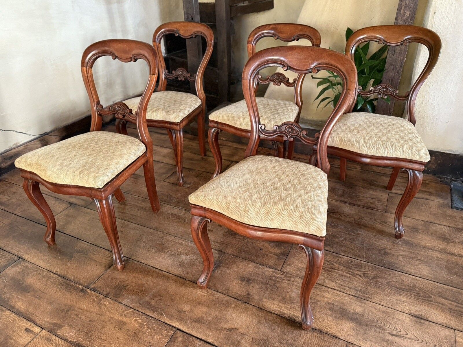 Antique Mahogany Victorian Drop In Balloon Back Diner Dining Chairs C1800's  X 5 photo vintage