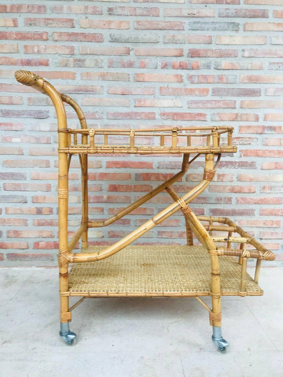 Mid Century Modern Bamboo Garden Tea Cart, 1950s photo 998.0