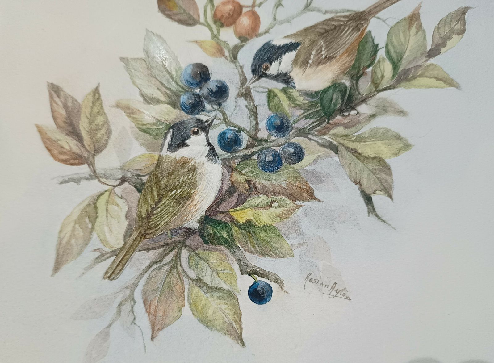 Original Watercolour Painting Wild Birds Amongst The Blue Sloe Berries And Red Rose Hips Signed Unframed. photo vintage