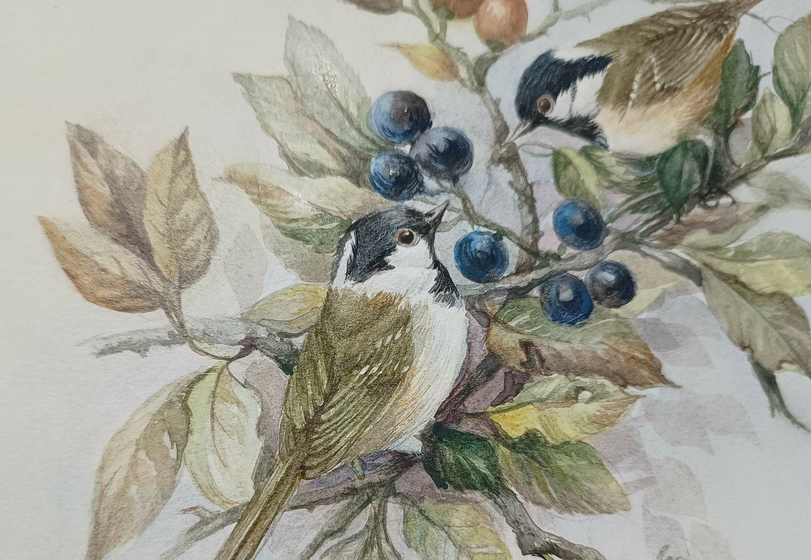 photo furniture Original Watercolour Painting Wild Birds Amongst The Blue Sloe Berries And Red Rose Hips Signed Unframed.