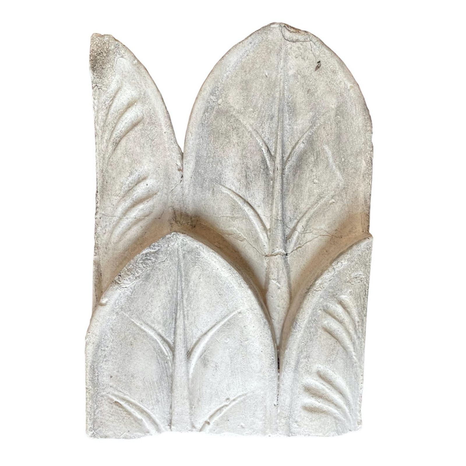 Foliate Moulding Plaster Cast From The Antique