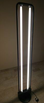 Floor Lamp By Gigante, Boccato And Zambusi For Zerbetto, 1970s photo for sale