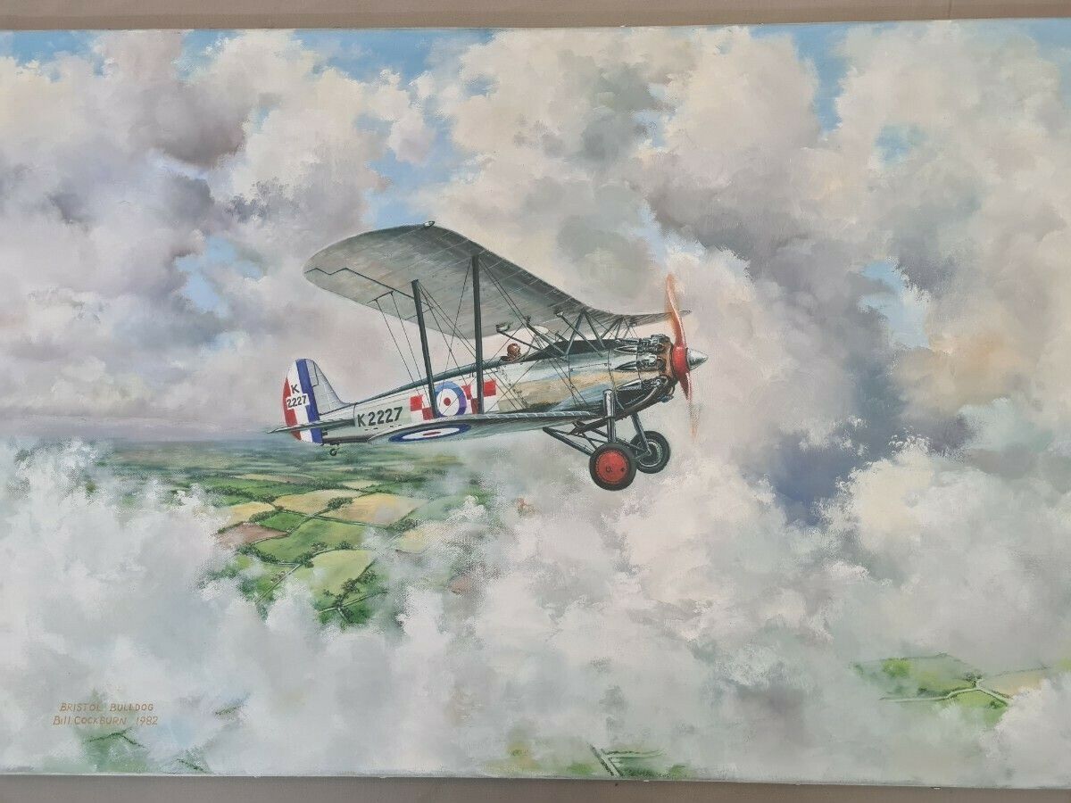 Painting Of A Bristol Bulldog By Bill Cockburn photo furniture