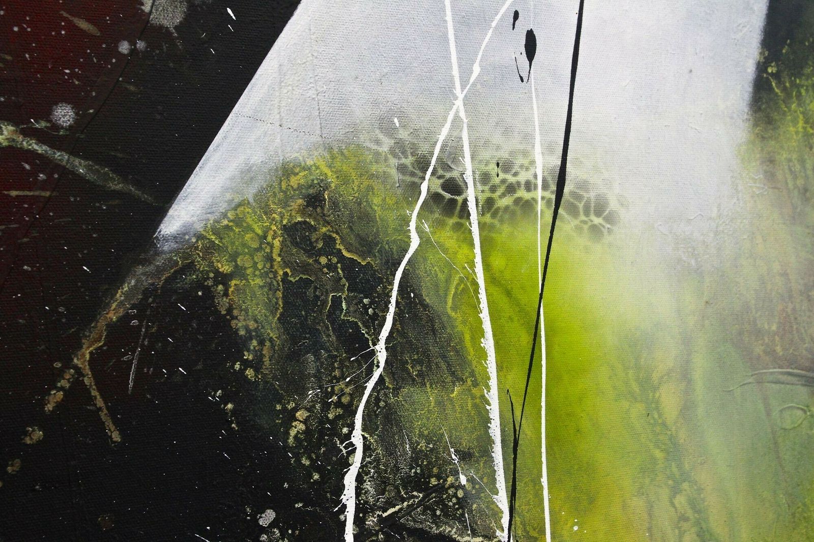 6000.0 Abstract Painting "Crawfish Vs. Turtle", Acrylic On Canvas By Ms, Austria 2021 photo
