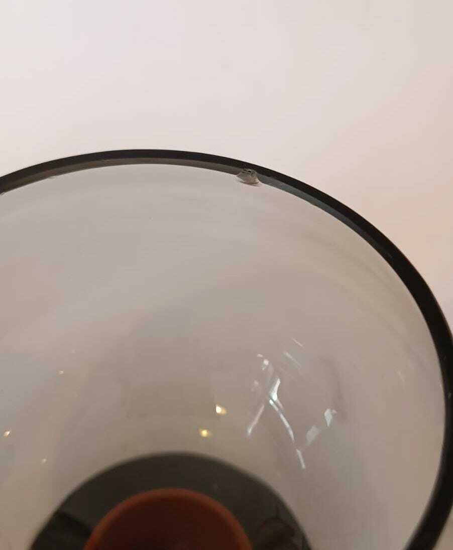 Murano Glass Service Set Designed By Napoleone Martinuzzi 6 Glasses Aperitif Cup Smoked Red photo vinterior