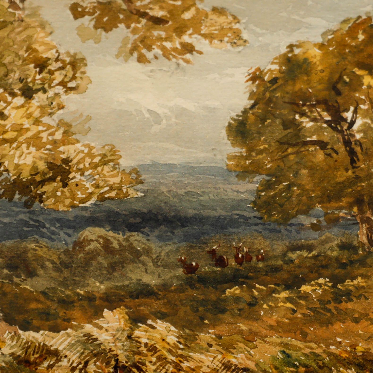 Attrib. William Bennett (1811 1871) Watercolour, Red Deer In Richmond Park photo Art