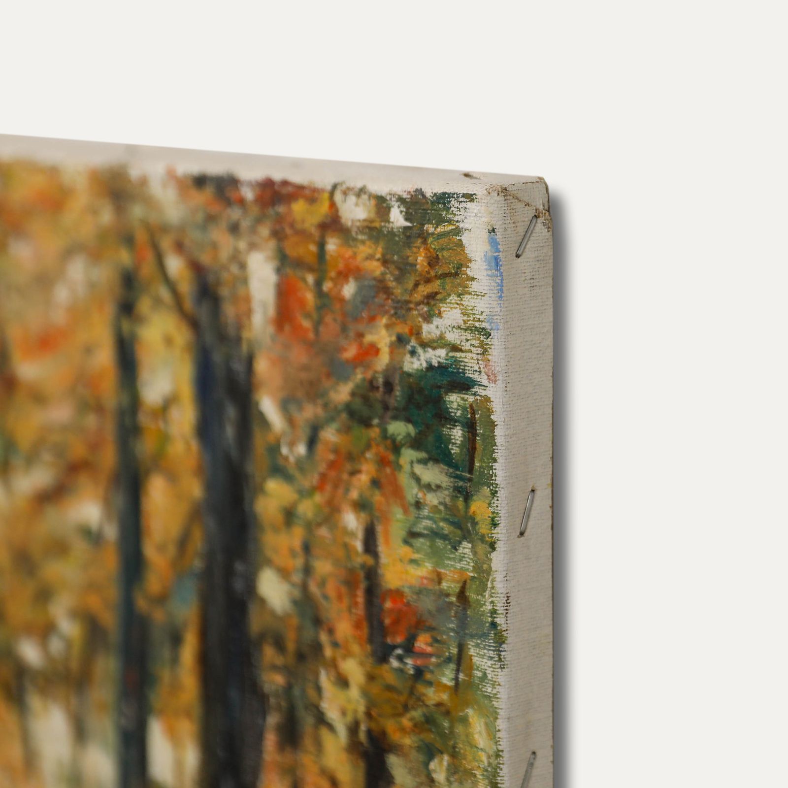M. Steurs  Contemporary Oil, Autumn Forest photo Art