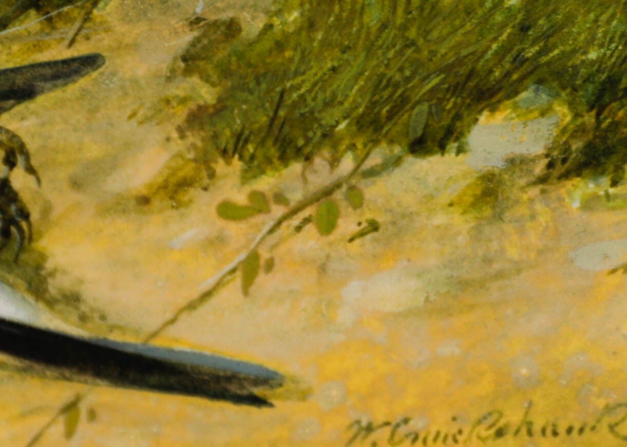 William Cruikshank (1848 1922) Late 19th Century Watercolour, Goldfinch Nest photo Art