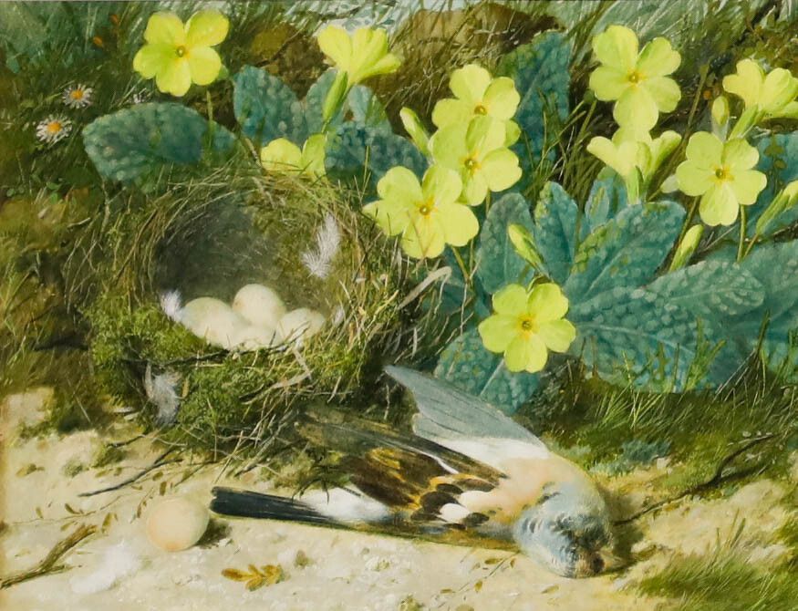 William Cruikshank (1848 1922) Watercolour, The Blue Tit's Nest photo furniture