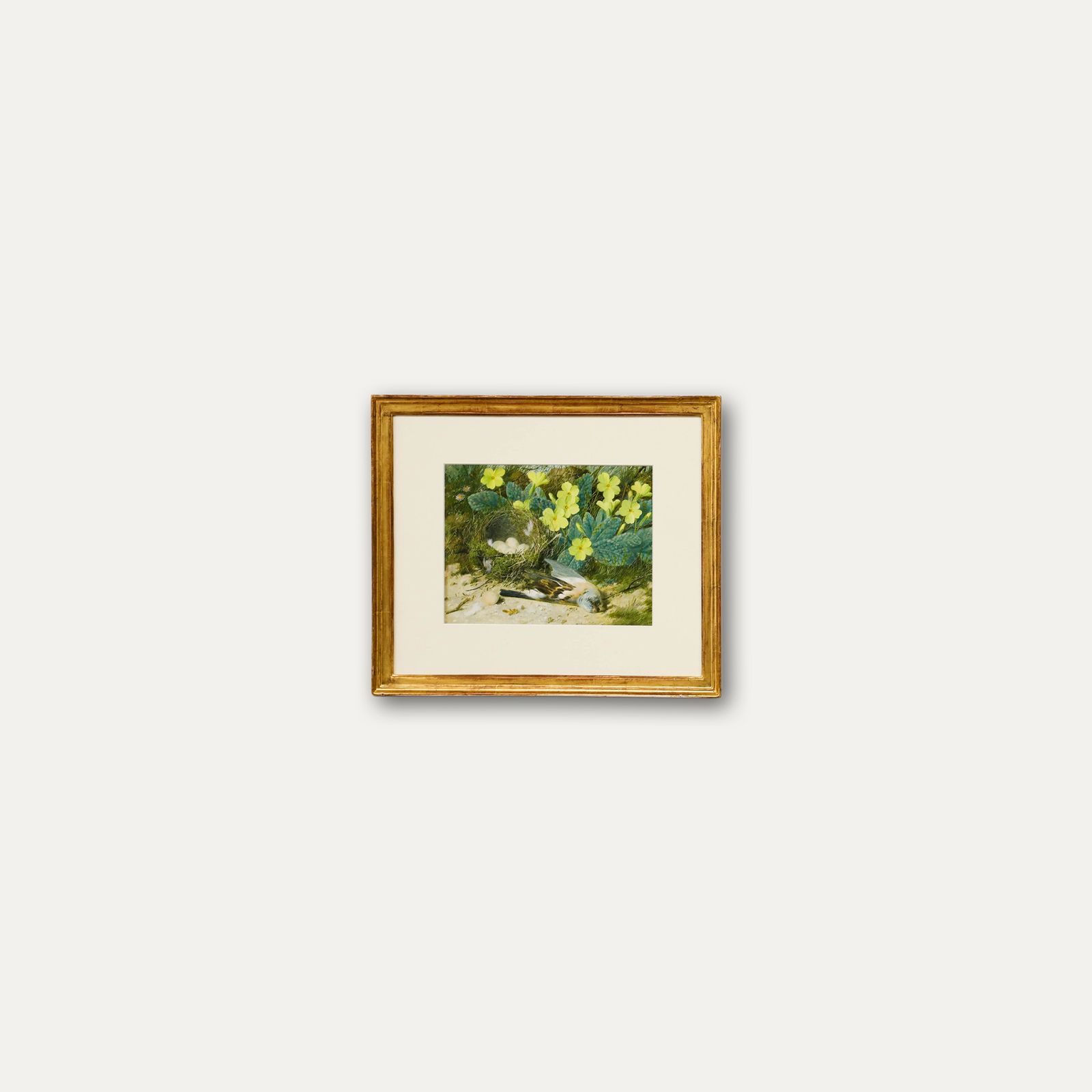 William Cruikshank (1848 1922) Watercolour, The Blue Tit's Nest photo vinterior